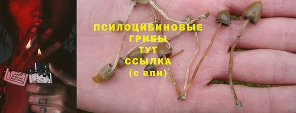 тгк Козельск
