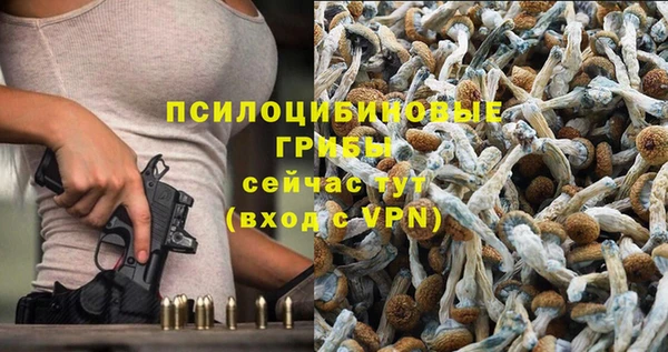СК Кодинск