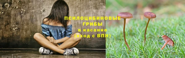 СК Кодинск