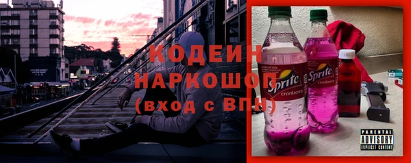 СК Кодинск