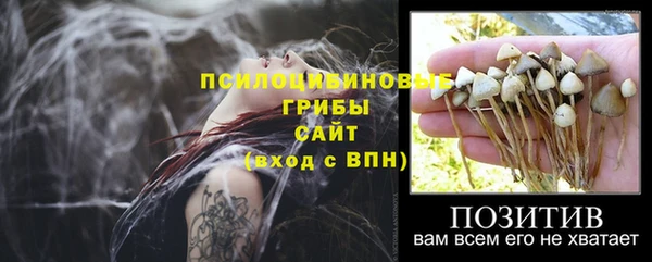 спиды Козловка