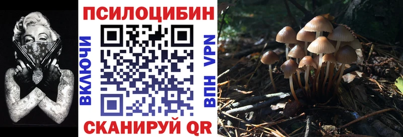 Псилоцибиновые грибы GOLDEN TEACHER  Купить закладки  Горячий Ключ 