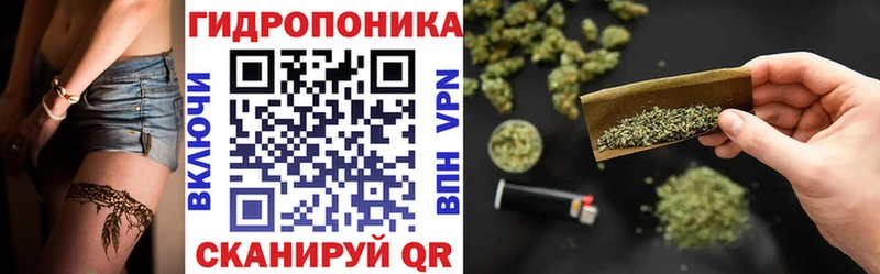 Бошки Шишки Amnesia  Купить закладки  Горячий Ключ 